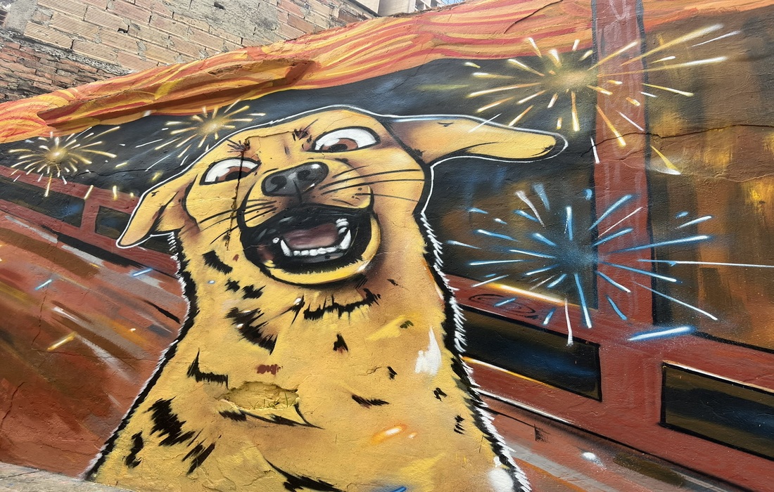 ¿Cómo van los animales con la afectación por pólvora? Los últimos días del año seguiremos midiendo la percepción ciudadana por uso de pólvora en Bogotá.